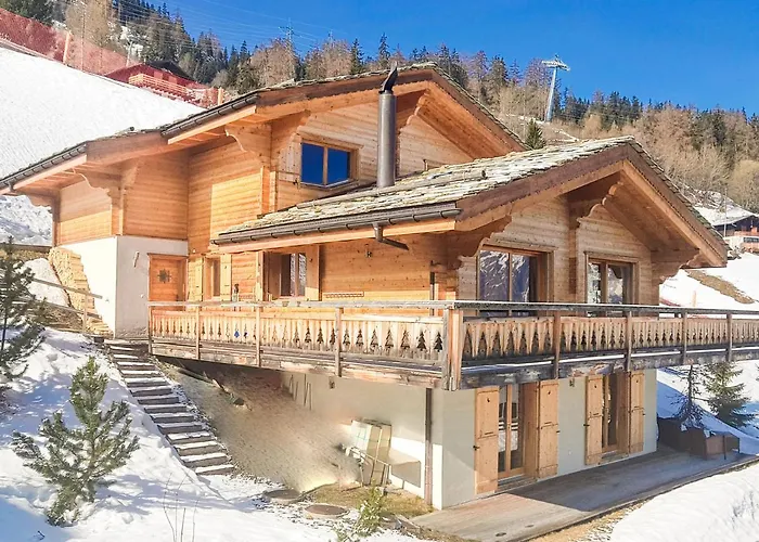 Le Grand Ours La Tzoumaz